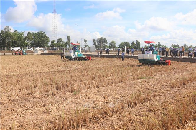 Khi chuyển đổi đất lúa, chủ đầu tư hoặc người sử dụng đất phải có phương án sử dụng tầng đất mặt được lập theo đúng quy định của pháp luật về trồng trọt. Ảnh: Thu Hiền – TTXVN