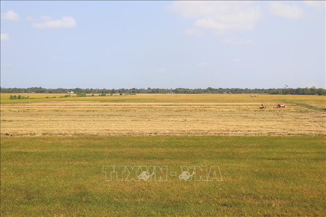 Các dự án chuyển đổi đất lúa dưới 2ha phải có đánh giá sơ bộ tác động môi trường hoặc kết quả thẩm định đánh giá tác động môi trường. Ảnh: Thu Hiền – TTXVN