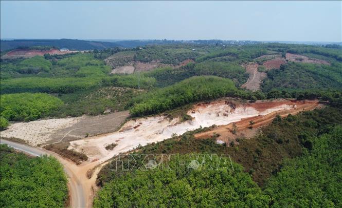 Bà Tr có hành vi hủy hoạt gần 0,5 ha đất trên địa bàn khu phố Long Giang, phường Phước Bình. Ảnh: Đậu Tất Thành – TTXVN.