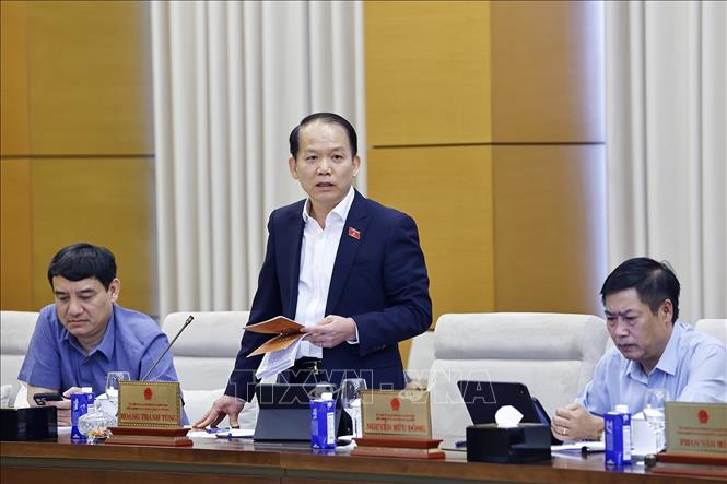 Chủ nhiệm Ủy ban Pháp luật và Tư pháp của Quốc hội Hoàng Thanh Tùng phát biểu. Ảnh: Doãn Tấn - TTXVN