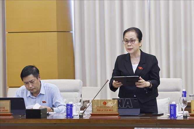 Phó Chủ nhiệm Ủy ban Kinh tế và Tài chính của Quốc hội Nguyễn Vân Chi phát biểu. Ảnh: Doãn Tấn - TTXVN