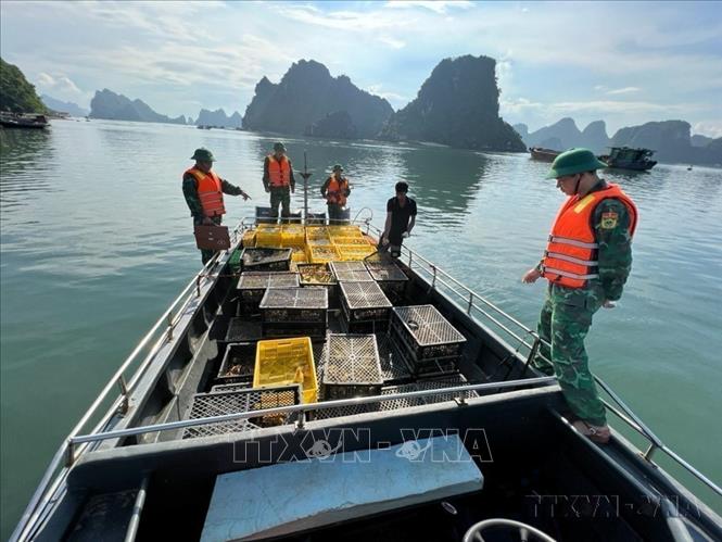 Đồn Biên phòng Quan Lạn (Quảng Ninh) phát hiện, bắt giữ vụ buôn lậu khoảng 14.000 con gà, vịt giống và 19.000 quả trứng không rõ nguồn gốc xuất xứ đang được vận chuyển về vùng biển tỉnh Thái Bình. Ảnh: TTXVN phát