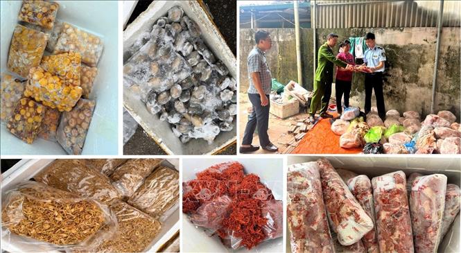 Chủ cơ sở thừa nhận, số hàng hoá trên được thu mua trôi nổi trên thị trường với giá thành rẻ, sau đó mang về cấp đông và chủ yếu bán cho các quán nướng vỉa hè, quán lẩu, quán nhậu, quán ăn vặt… Ảnh: TTXVN phát