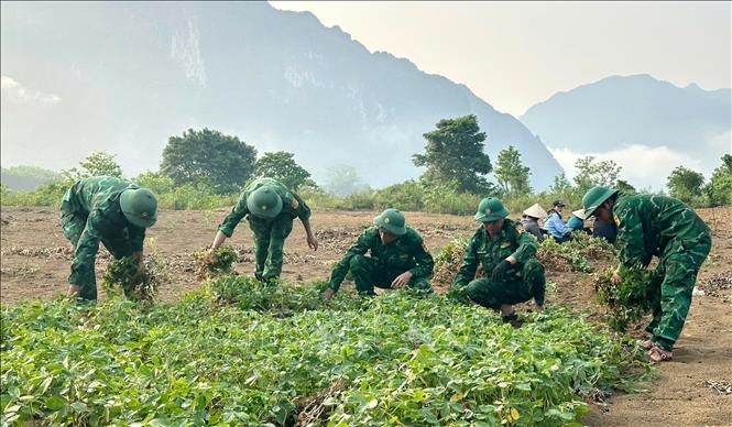 Lực lượng Bộ đội Biên phòng trên địa bàn biên giới xã Trường Sơn (Quảng Trị) vừa vững tay súng bảo vệ biên cương, vừa tích cực tham gia hỗ trợ nhân dân phát triển kinh tế. Ảnh: Võ Dung - TTXVN