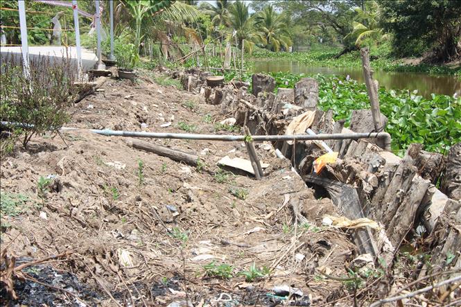 Người dân tổ chức đắp bù đất, gia cố tạm bằng cừ tràm, bao tải đất hoặc đá cấp phối tại các điểm xung yếu nhằm hạn chế mở rộng phạm vi sụp lún. Ảnh: Chanh Đa –TTXVN