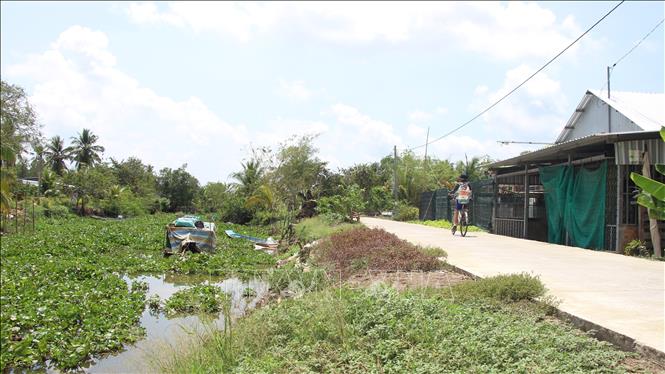 Các tuyến đường giao thông nông thôn có nguy cơ sạt lở vào mùa khô khi mực nước sông xuống thấp. Ảnh: Chanh Đa –TTXVN