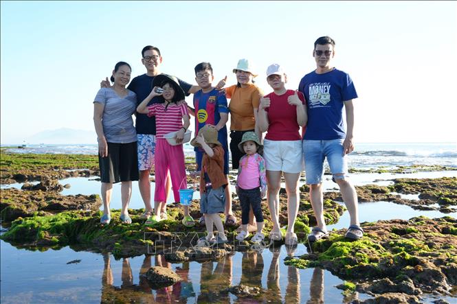 Du khách chụp ảnh lưu niệm tại cánh đồng rong biển ở xã Phước Dinh (Khánh Hòa). Ảnh: Nguyễn Thành - TTXVN