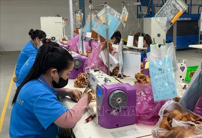 Người lao động ở Công ty TNHH Quốc Tế Great Honor (KCN Vsip Tịnh Phong, Quảng Ngãi) trở lại làm việc sau kỳ nghỉ Tết Nguyên đán 2026. Ảnh: Hải Âu-TTXVN