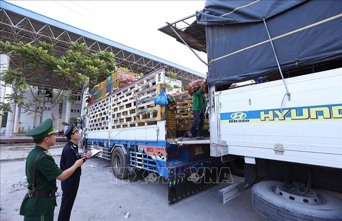 Lực lượng Biên phòng phối hợp với Hải quan Cửa khẩu Quốc tế Dinh Bà giám sát hàng nhập khẩu tại Cửa khẩu Quốc tế Dinh Bà, xã Tân Hộ Cơ, tỉnh Đồng Tháp. Ảnh: Vũ Sinh – TTXVN 