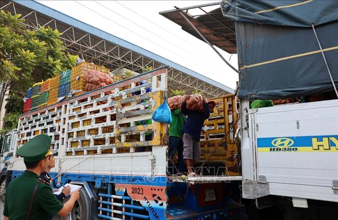 Lực lượng Biên phòng phối hợp với Hải quan Cửa khẩu Quốc tế Dinh Bà giám sát hàng nhập khẩu tại Cửa khẩu Quốc tế Dinh Bà, xã Tân Hộ Cơ, tỉnh Đồng Tháp. Ảnh: Phạm Hậu – TTXVN 