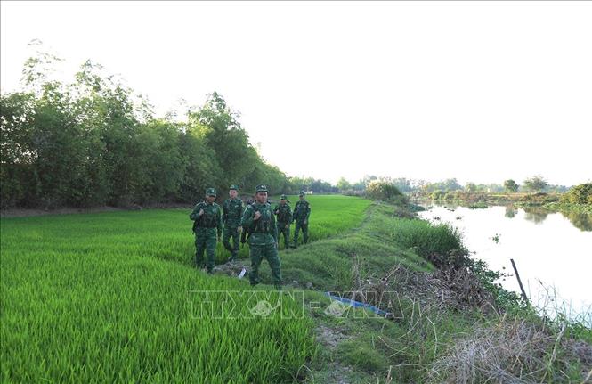 Bộ đội Biên phòng Đồn Cửa khẩu Quốc tế Dinh Bà tổ chức tuần tra bảo vệ khu vực biên giới cột mốc 231, xã Tân Hộ Cơ, tỉnh Đồng Tháp. Ảnh: Vũ Sinh – TTXVN 
