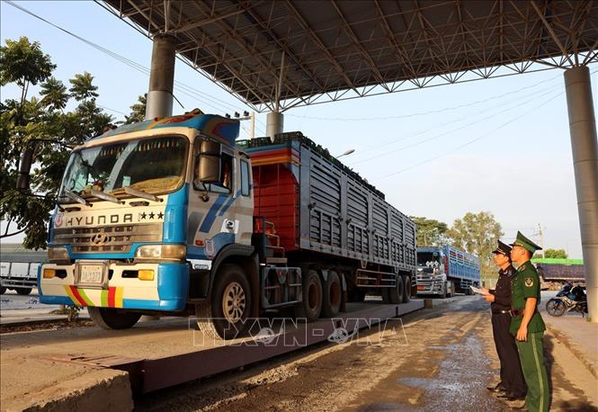 Bộ đội Biên phòng phối hợp với Hải quan giám sát phương tiện vận tải nhập cảnh qua Cửa khẩu Quốc tế Dinh Bà, xã Tân Hộ Cơ, tỉnh Đồng Tháp. Ảnh: Vũ Sinh – TTXVN 