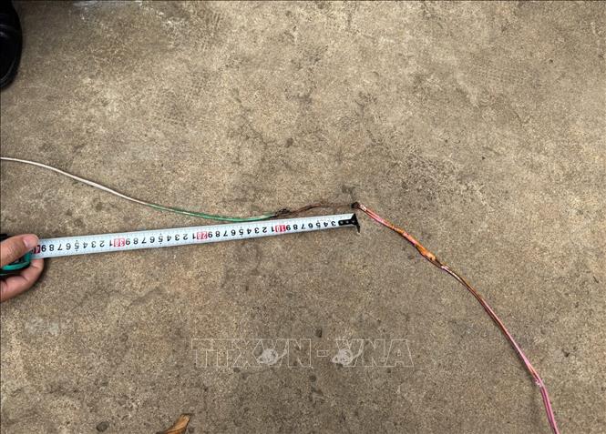 Sợi dây điện cháy xem nằm trên hàng rào sắt, khu vực bé Thiên chạm tay vào. Ảnh: Đậu Tất Thành – TTXVN