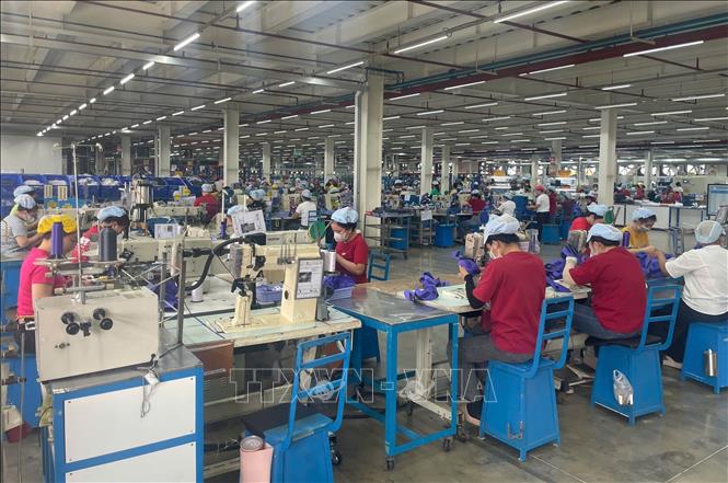 Hoạt động sản xuất tại Công ty Pou Phong Việt Nam - Khu công nghiệp Bàu Xéo (Đồng Nai). Ảnh: Công Phong - TTXVN