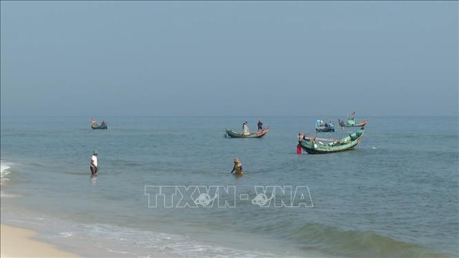 Sau Tết, số lượng tàu tại xã Ninh Châu tham gia đánh bắt thường xuyên khoảng 300 chiếc, trong đó có trên 80 tàu trúng đậm các loại hải sản như cá trích, cá đù, mực ống, mực nang và ruốc biển... Ảnh: TTXVN phát