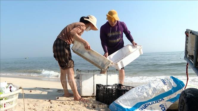 Người dân xã Ninh Châu trúng đậm ruốc biển những ngày ra khơi đầu năm. Ảnh: TTXVN phát