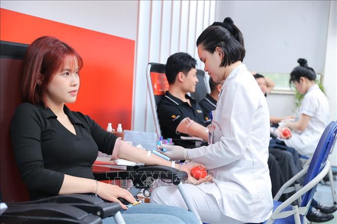 Tình nguyện viên tham gia hiến máu tại Lễ hội Xuân hồng lần thứ XIX – năm 2026. Ảnh: Minh Quyết - TTXVN