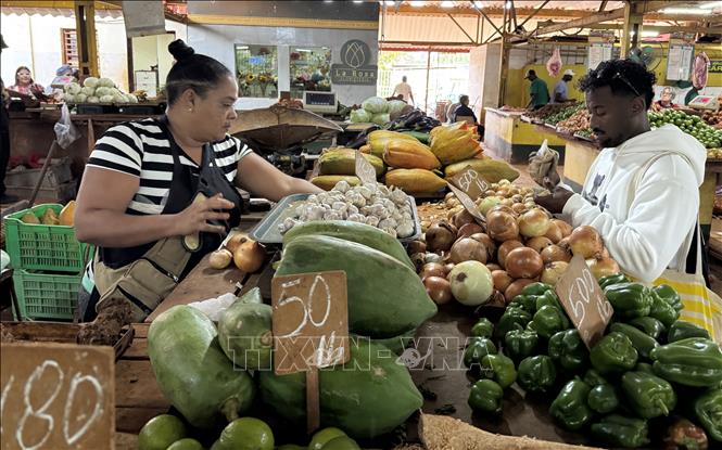 Một quầy bán rau ở chợ nông sản 19B, La Habana (Cuba). Ảnh: Việt Hùng - PV TTXVN tại Cuba