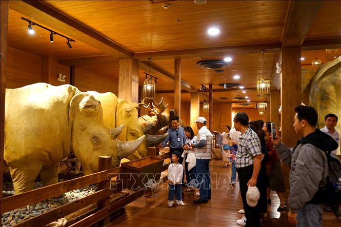 Đại diện các doanh nghiệp du lịch, lữ hành; phóng viên các cơ quan báo chí; các KOLs, travel blogger, TikToker du lịch trong và ngoài tỉnh tham gia chuyến khảo sát. Ảnh: Hồng Hiếu- TTXVN