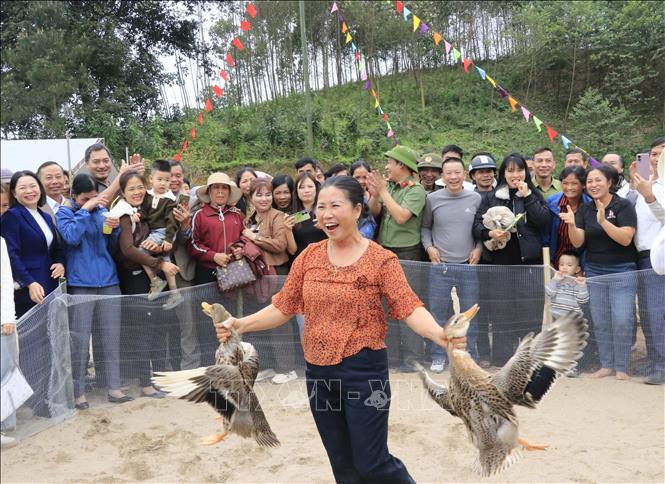 Niềm vui của người dân khi bắt được vịt. Ảnh: Đinh Thùy - TTXVN 