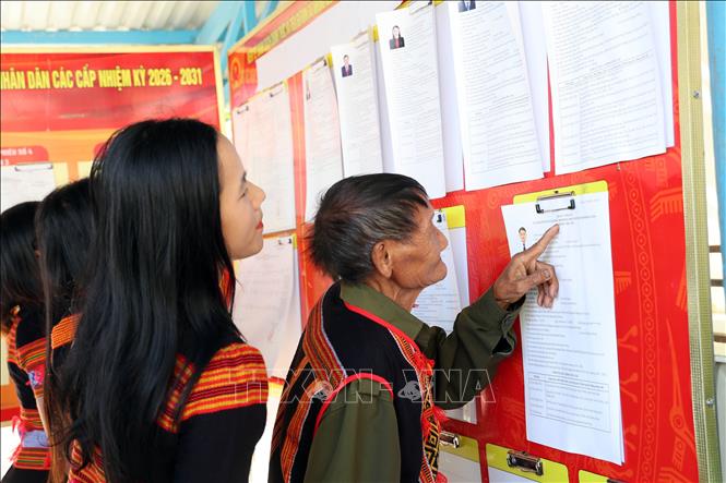 Cử tri đồng bào dân tộc thiểu số Xê Đăng, xã Trà Linh, thành phố Đà Nẵng đến điểm bầu cử tìm hiểu tiểu sử các ứng cử viên Quốc hội và HĐND. Ảnh: Trần Tĩnh - TTXVN