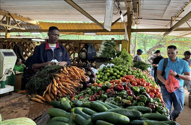 Rau, củ, quả được bày bán ở một chợ nông sản tại thủ đô La Habana. Ảnh: Việt Hùng - PV TTXVN tại Cuba