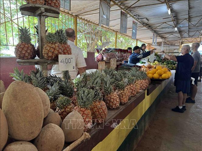 Rau, củ, quả được bày bán ở một chợ nông sản tại thủ đô La Habana. Ảnh: Việt Hùng - PV TTXVN tại Cuba