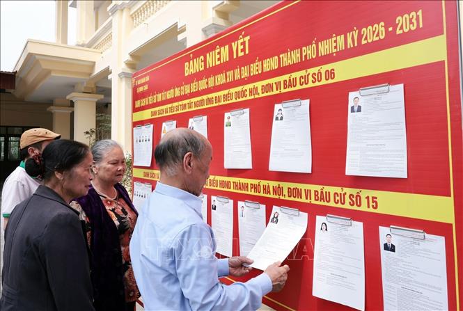 Cử tri xã Minh Châu, Hà Nội tìm hiểu tiểu sử người ứng cử tại khu vực bầu cử số 2. Ảnh: Trần Việt - TTXVN