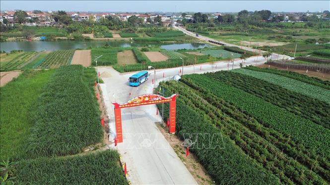 Cổng chào vào xã Minh Châu, Hà Nội được trang hoàng lộng lẫy. Ảnh: Trần Việt - TTXVN