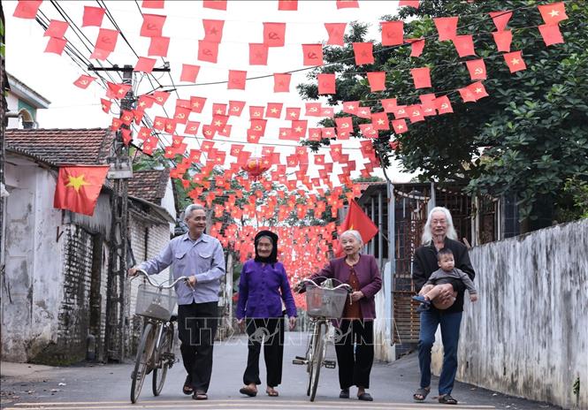 Cờ Tổ quốc được trang hoàng khắp các con đường ở xã đảo Minh Châu, Hà Nội. Ảnh: Trần Việt - TTXVN