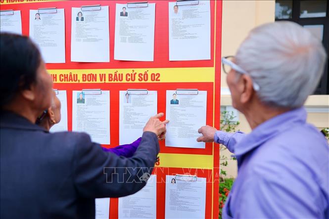 Cử tri tìm hiểu tiểu sử người ứng cử. Ảnh: Phạm Tuấn Anh - TTXVN