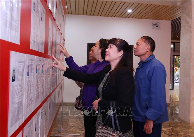 Cử tri xem danh sách người ứng cử đại biểu Quốc hội khóa XVI, đại biểu HĐND các cấp nhiệm kỳ 2026-2031 tại Đơn vị bầu cử số 13. Đơn vị bầu cử số 13. Ảnh: Văn Điệp - TTXVN