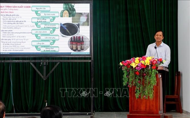 Đại biểu trình bày tham luận tại hội thảo. Ảnh: Lê Thúy Hằng - TTXVN