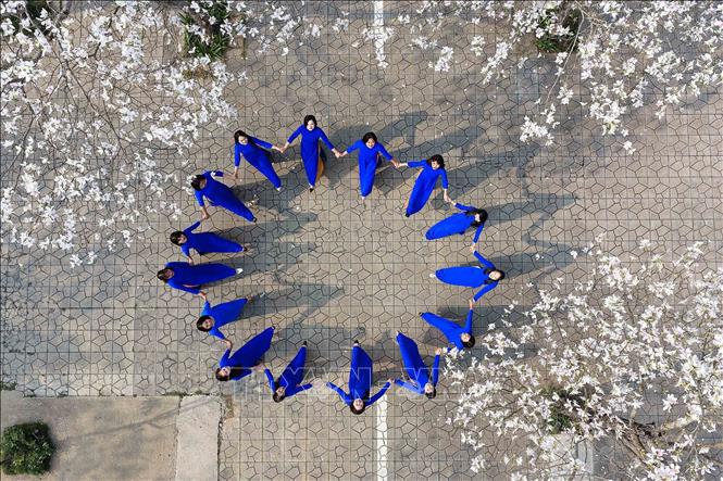 Vào mùa hoa ban nở, đông đảo nhân dân và du khách đến chiêm ngưỡng và chụp ảnh lưu niệm. Ảnh: Quang Quyết - TTXVN