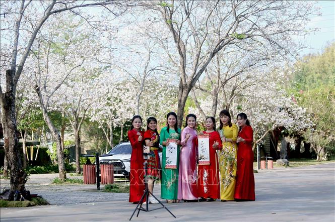 Tại khuôn viên của nhà hàng Suối Hẹn Vườn Đào, hoa ban đang bung nở trắng tinh khôi tạo khung cảnh lãng mạn, thơ mộng, thu hút đông đảo nhân dân và du khách đến tham quan, chụp ảnh. Ảnh: Quang Quyết - TTXVN