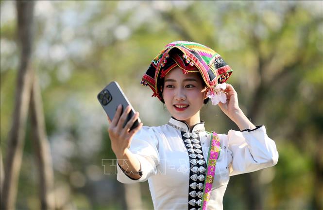 Vào mùa hoa ban nở, các bạn trẻ trong trang phục dân tộc Thái đến chiêm ngưỡng và chụp ảnh lưu niệm. Ảnh: Quang Quyết - TTXVN