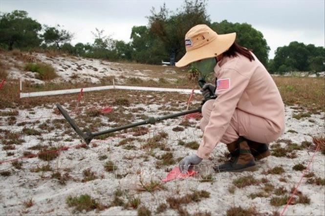 Thành viên đội MAT 19 rà tìm các vật liệu nổ bằng máy chuyên dụng tại vùng cát huyện Hải Lăng. MAT 19 là tên gọi của đội nữ rà phá bom mìn duy nhất trong 40 đội rà phá bom mìn do tổ chức phi chính phủ Nhóm Cố vấn bom mìn (MAG) triển khai hoạt động tại tỉnh Quảng Trị. Ảnh: Hồ Cầu - TTXVN