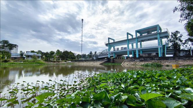 Vào mùa khô hằng năm, việc vận hành hiệu quả các cống giúp điều tiết kịp thời nước phục vụ sản xuất cho người dân trên địa bàn tỉnh Cà Mau. Ảnh: Chanh Đa-TTXVN