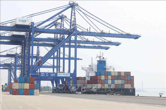 Hoạt động xuất nhập khẩu tại cảng Dương Phố, tỉnh Hải Nam (Trung Quốc). Ảnh: Công Tuyên-PV TTXVN tại Trung Quốc