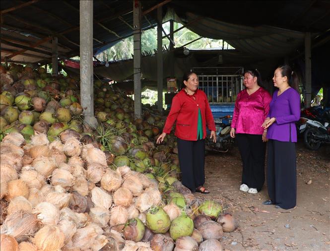 Cán bộ phụ nữ tìm hiểu tình hình hoạt động mô hình kinh doanh tại cơ sở mua bán dừa của bà Bùi Thị Huệ (xã Tân Thành Bình, tỉnh Vĩnh Long). Ảnh: Lê Thúy Hằng - TTXVN