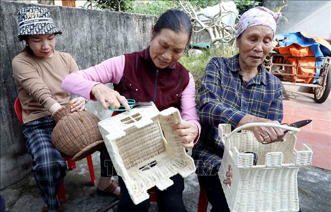 Nhiều phụ nữ lớn tuổi có thêm việc làm nhờ việc nhận gia công cho các cơ sở sản xuất mây tre đan của chị Vũ Thị Son (thôn Bình Trật Nam, xã Bình Nguyên, tỉnh Hưng Yên). Ảnh: Thế Duyệt – TTXVN
