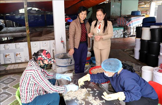 Vượt qua khó khăn về sức khỏe, cựu chiến binh Tạ Thị Hạnh (thôn Diêm Điền, xã Thái Thụy; người đứng, trái ảnh) đã mở cơ sở chế biến từ sứa tạo việc làm thường xuyên cho 10 lao động và hàng chục lao động thời vụ khác. Ảnh: Thế Duyệt – TTXVN