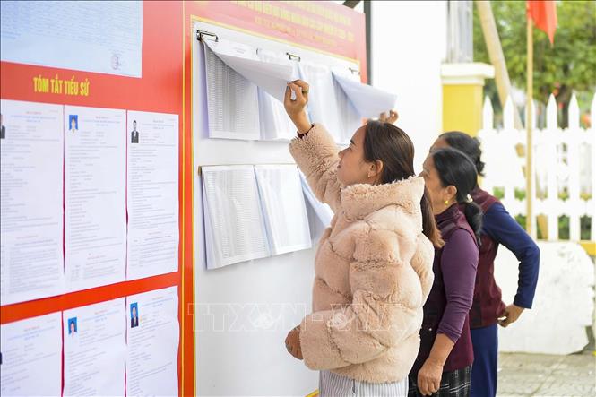 Người dân quan tâm tìm hiểu về các ứng cử viên HĐND các cấp. Ảnh: Hoa Mai - TTXVN