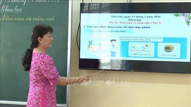 Trong dòng chảy đổi mới, ứng dụng công nghệ trong dạy và học, những giáo viên tâm huyết như cô Thảo chính là lực lượng góp phần đưa công nghệ vào lớp học một cách gần gũi và hiệu quả. Ảnh: Đức Hạnh - TTXVN 