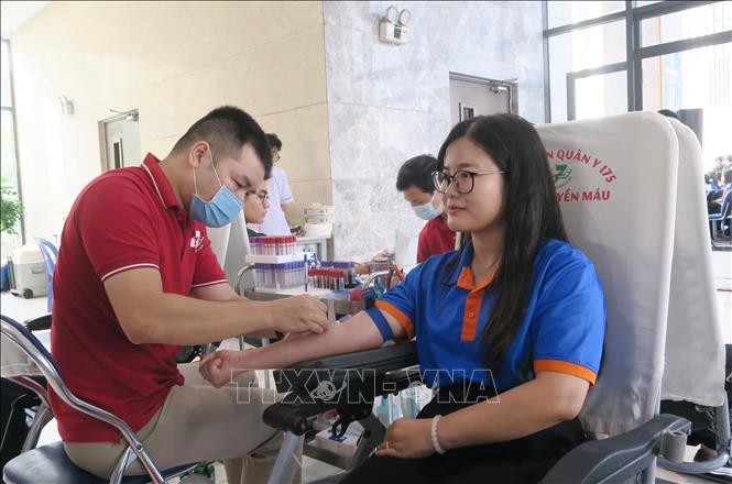 Một bạn trẻ tham gia hiến máu tình nguyện tại chương trình Chủ Nhật Đỏ năm 2026. Ảnh: Đinh Hằng - TTXVN