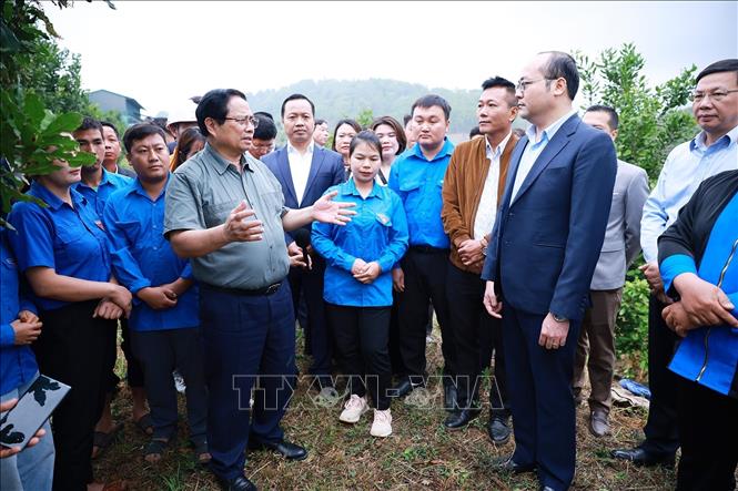 Thủ tướng Phạm Minh Chính thăm mô hình phát triển kinh tế nông nghiệp tại xã Phu Nhi, tỉnh Điện Biên. Ảnh: Dương Giang-TTXVN 