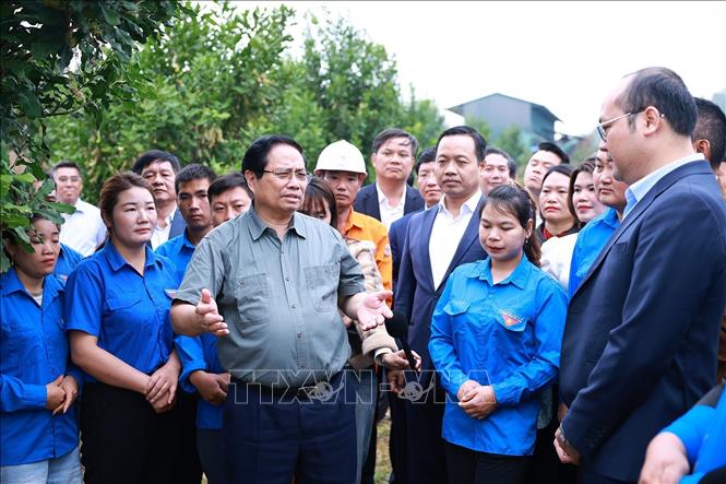 Thủ tướng Phạm Minh Chính thăm mô hình phát triển kinh tế nông nghiệp tại xã Phu Nhi, tỉnh Điện Biên. Ảnh: Dương Giang-TTXVN 