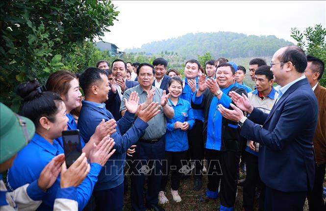 Thủ tướng Phạm Minh Chính thăm mô hình trồng cây mắc ca tại xã Phu Nhi, tỉnh Điện Biên. Ảnh: Dương Giang-TTXVN 