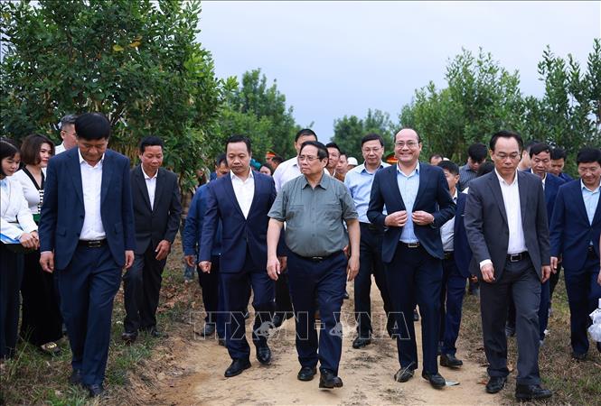 Thủ tướng Phạm Minh Chính thăm mô hình phát triển kinh tế nông nghiệp tại xã Phu Nhi, tỉnh Điện Biên. Ảnh: Dương Giang-TTXVN 