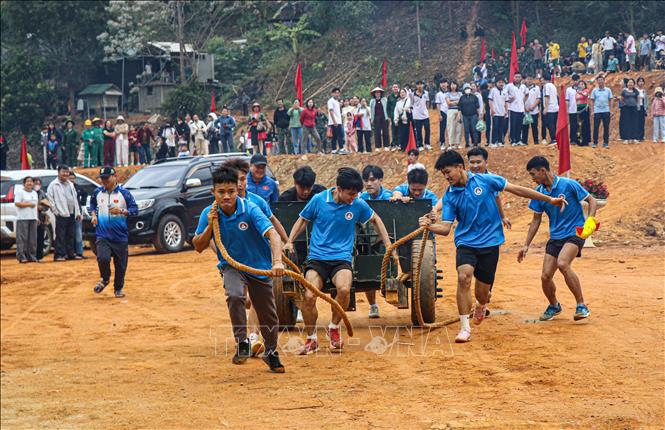 Phần thi kéo pháo thu hút nhiều đội thi đến từ Trường THPT trên địa bàn tỉnh Điện Biên tham gia. Ảnh: Phan Quân - TTXVN